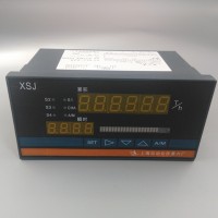 供应上海智能流量积算仪XSJ-97A