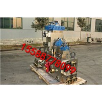 厂家供应YN32-500HECV 均为Dg25，双泵，一泵单独泄压