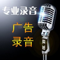 专业配音 广告录音 宣传片 专题 动画片 视频制作服务 男生女声