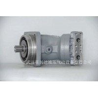 武汉星兴达液压气动设备有限公司 定量柱塞泵马达A2F12R6.1Z4