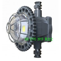 直销DGS28/127L(A)矿用隔爆型LED巷道灯 LED照明灯