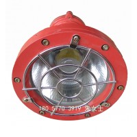 DGS24/127L(A)煤矿LED投光灯 LED照明灯24W
