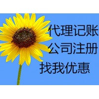 财务管理、财务审计、纳税筹划