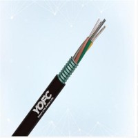 广州24芯多模光缆-长飞光缆品牌-光缆报价