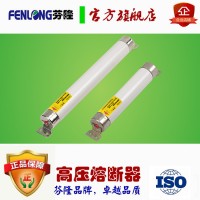 WFNDO-12M/100-50T熔断器订做-芬隆品牌