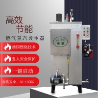 xu en牌全自动燃气蒸汽发生器小型家用 商用燃气锅炉供应