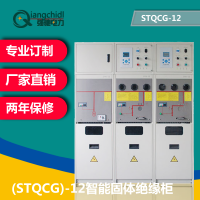 强驰电力QCG(STQCG)12智能固体绝缘柜可来图加工定制