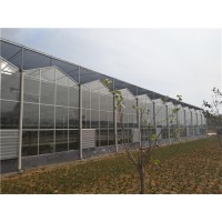 玻璃温室建造商  连栋玻璃温室大棚工程 鑫德温室