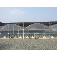 种植型薄膜温室 塑料薄膜大棚建设 连栋温室