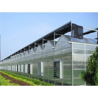 山东阳光板温室大棚 阳光板蔬菜花卉温室设计