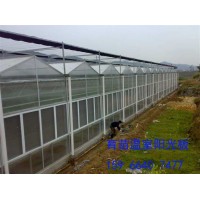 山东潍坊温室大棚pc阳光板雨棚耐力板