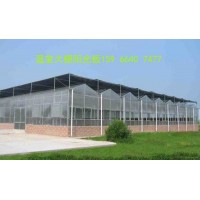 山东阳光板厂家-滨州温室大棚pc阳光板