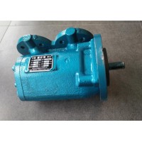 出售SPF20R38G10W2仁怀机电设备配套燃油泵