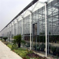阳光板大棚造价 阳光板温室专业建造