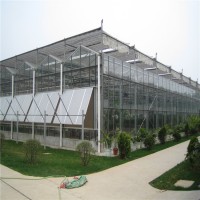 玻璃大棚造价 玻璃温室工程设计