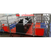德州畜牧养殖设备厂家 母猪产床 定位栏 小猪保育栏