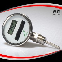 DSTI300太阳能温度计,径向型电子温度计，不锈钢电子温度计