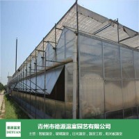 智能阳光板温室自动控温-青州德源