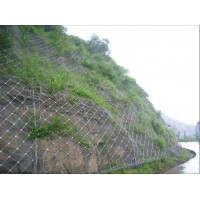 湖南厂家生产供应边坡防护网，边坡防护网施工队安平承亚厂家