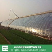 日光温室-连体大棚建造