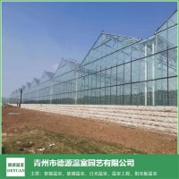 玻璃温室大棚定制-青州德源