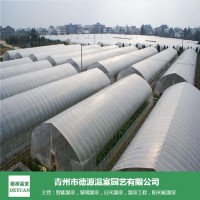 蔬菜温室大棚工程-青州德源