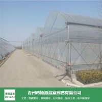 薄膜连栋温室-花卉蔬菜大棚-青州德源