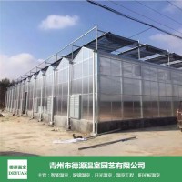 阳光板温室工程建造-青州德源