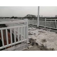 桥梁安全栏杆景观护栏 梅州河涌河道护栏加工定制