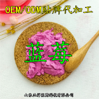 蓝莓果粉 蓝莓提取物 蓝莓花青素 OEM代加工 固体饮料 分装灌装