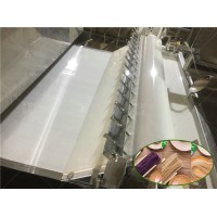 自动化红薯粉条加工设备日产量2.5-12吨成品 开封丽星