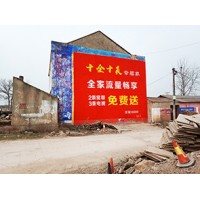 咸宁农村墙体广告公司、咸宁手绘墙面广告制作